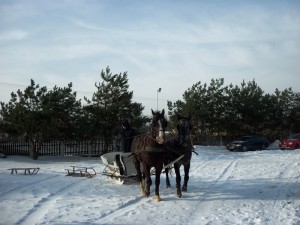 kulig001
